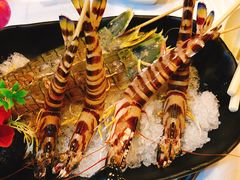 -鲜入围煮花胶鸡海鲜火锅