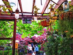 -The Grounds of Alexandria