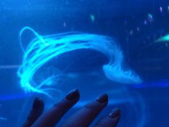 -洛阳龙门海洋馆