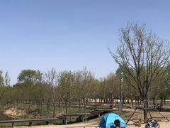 -东郊湿地公园