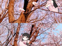 -万泉公园