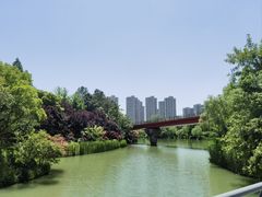 -青枫公园