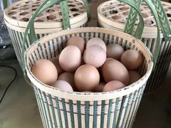 -马陆小张葡萄园农家乐