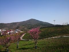 -石塘人家