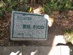 -梧桐山风景名胜区