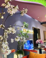 -花隐·美芙炫海菲秀皮肤管理中心