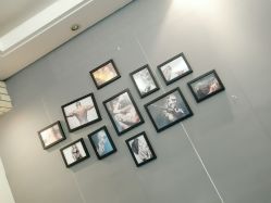 -明星刺青·洗纹身