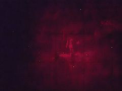 -芦沟竹海
