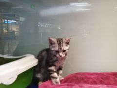 -乐宠宠物店(世纪金源店)