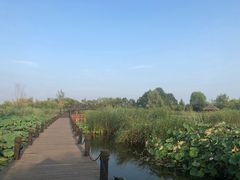 -济宁市太白湖旅游景区
