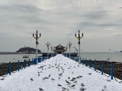 -栈桥景区