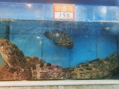 -东江海鲜大排档·潮汕菜·砂锅粥