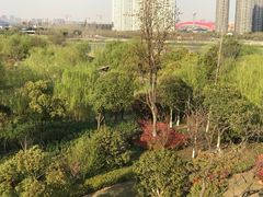 -南京眼步行桥