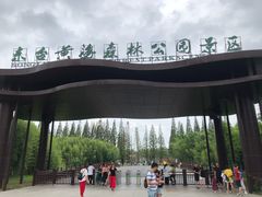 -黄海国家森林公园