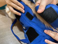 -荔康动物医院(康王北路店)