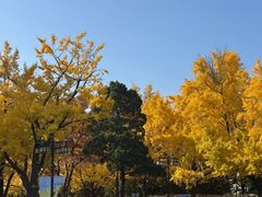-景福宫