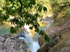 -广州白江湖森林公园