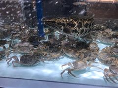 -盒马鲜生(新都心店)