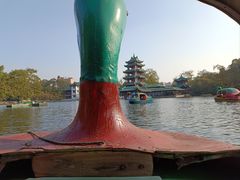 -桂湖森林公园