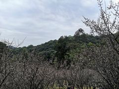 -广州市白云山风景名胜区