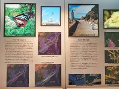 -大阪市立自然史博物馆