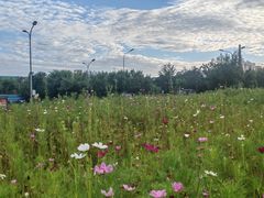 -北沙滩(地铁站)