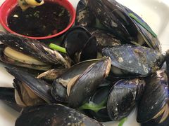白灼青口贝-沈家门小海鲜
