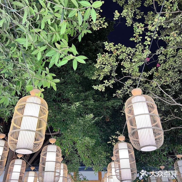 宽窄巷子里的国货中国李宁