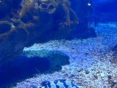 -海合安武汉极地海洋公园