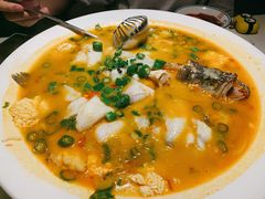 鲜椒豆花鲈鱼-川味堂·四川豆花(八卦岭店)