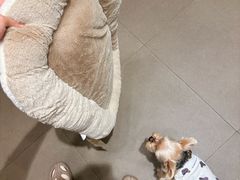-MUJI无印良品(万象城店)