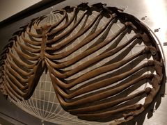 -上海油画雕塑院