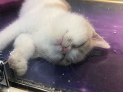 -乐宠宠物店(世纪金源店)