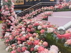 -世纪金源购物中心