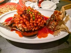 -小厨娘金榜题名(夫子庙秦淮河店)