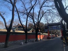-北京国子监胡同