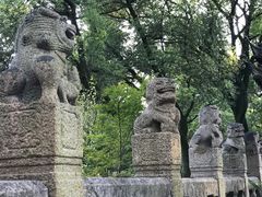 -汇龙潭