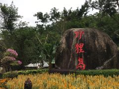 -野狸岛