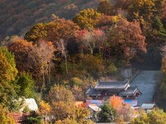 -少华山国家森林公园