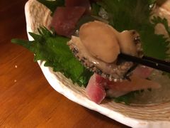 -松子日式料理(东朝阳路店)