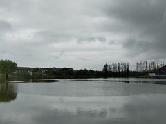 -上海长兴岛郊野公园