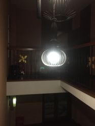 -虎杖传说·还元生活馆