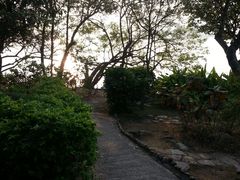 -南丫岛