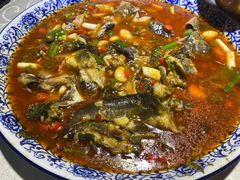 -高坎一品甲鱼庄(两河店)