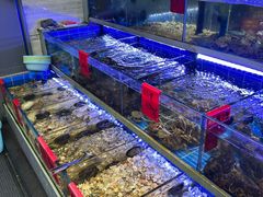-金海湾海鲜排档(朱家尖店)