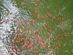 -南山风景名胜区