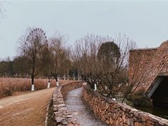 -洋湖国家湿地公园