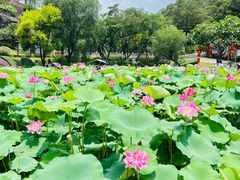 -广州莲花山旅游区