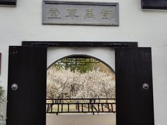 -司徒庙