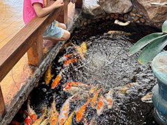 -伯乐居茶艺馆(石岐大信店)